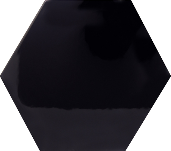 Wandtegel Douglas en Jones vintage hexagon negro glans 15x17