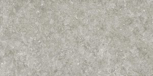 Vloertegel Grespania Coverlam Bluestone Gris 50x100x5