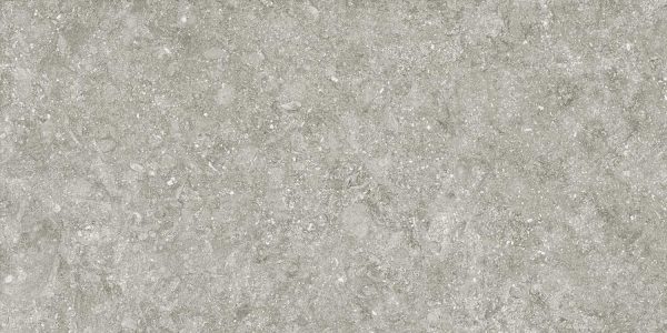 Vloertegel Grespania Coverlam Bluestone Gris 50x100x5,6mm