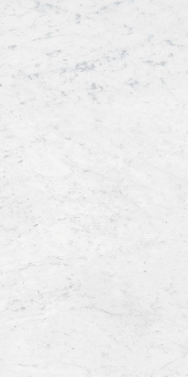 Vloertegel Grespania Coverlam Carrara Natural 60x120x5,6mm