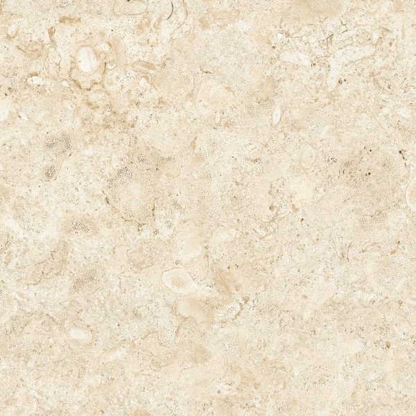 Vloertegel Grespania Coverlam Coralina Blanco 120x120x5,6mm