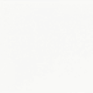 Vloertegel Ceramapolo Branco R615 Home Mat 20x50 - Thuis in Tegels