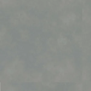 10021
