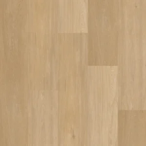12041