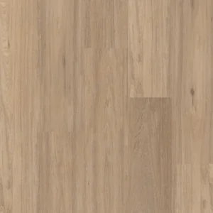 3020
