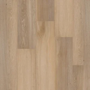 70040